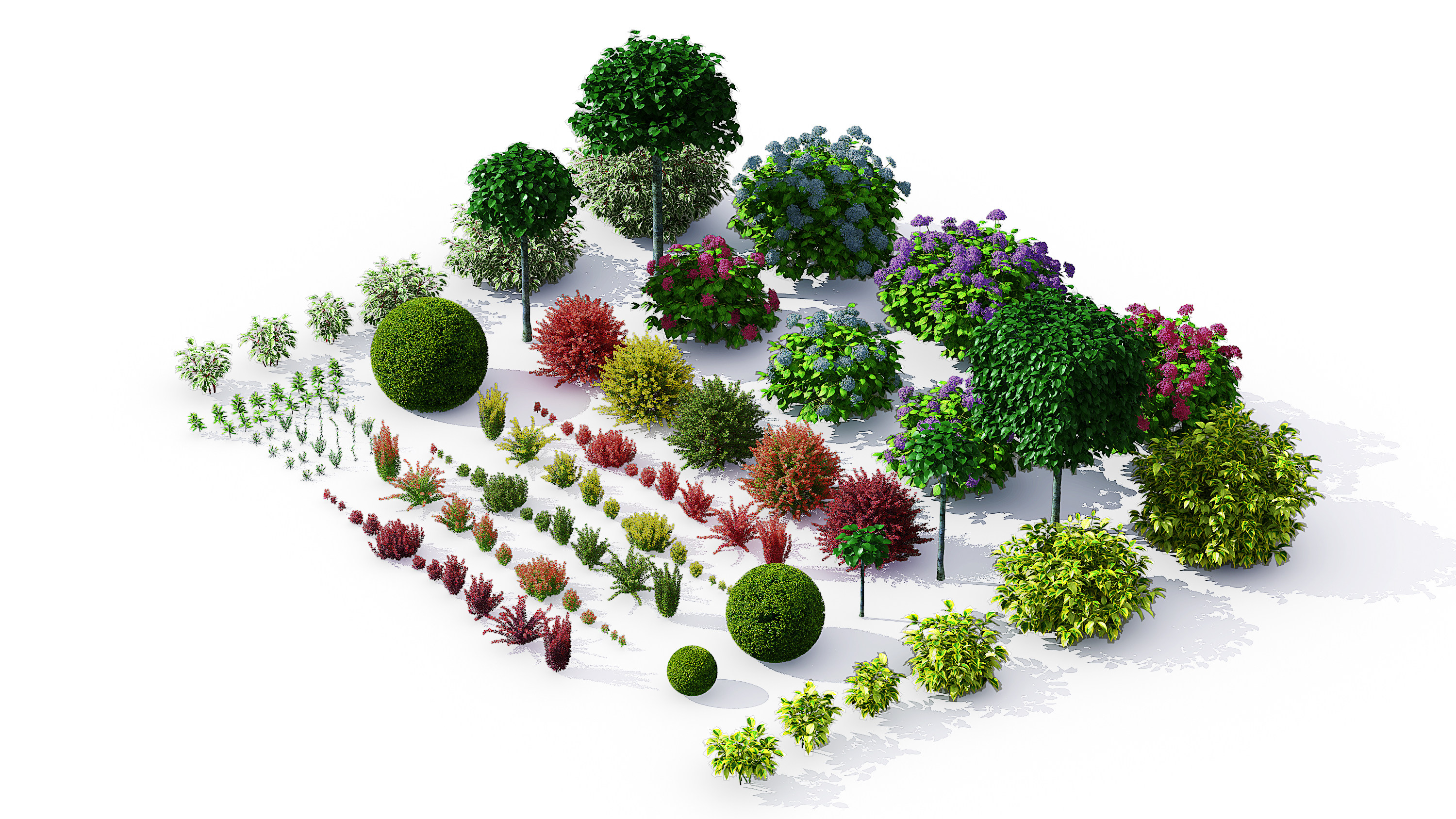 植物灌木3d模型下载