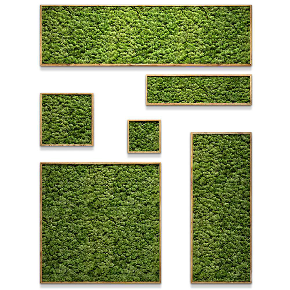 16苔藓装饰画绿植墙3d模型下载