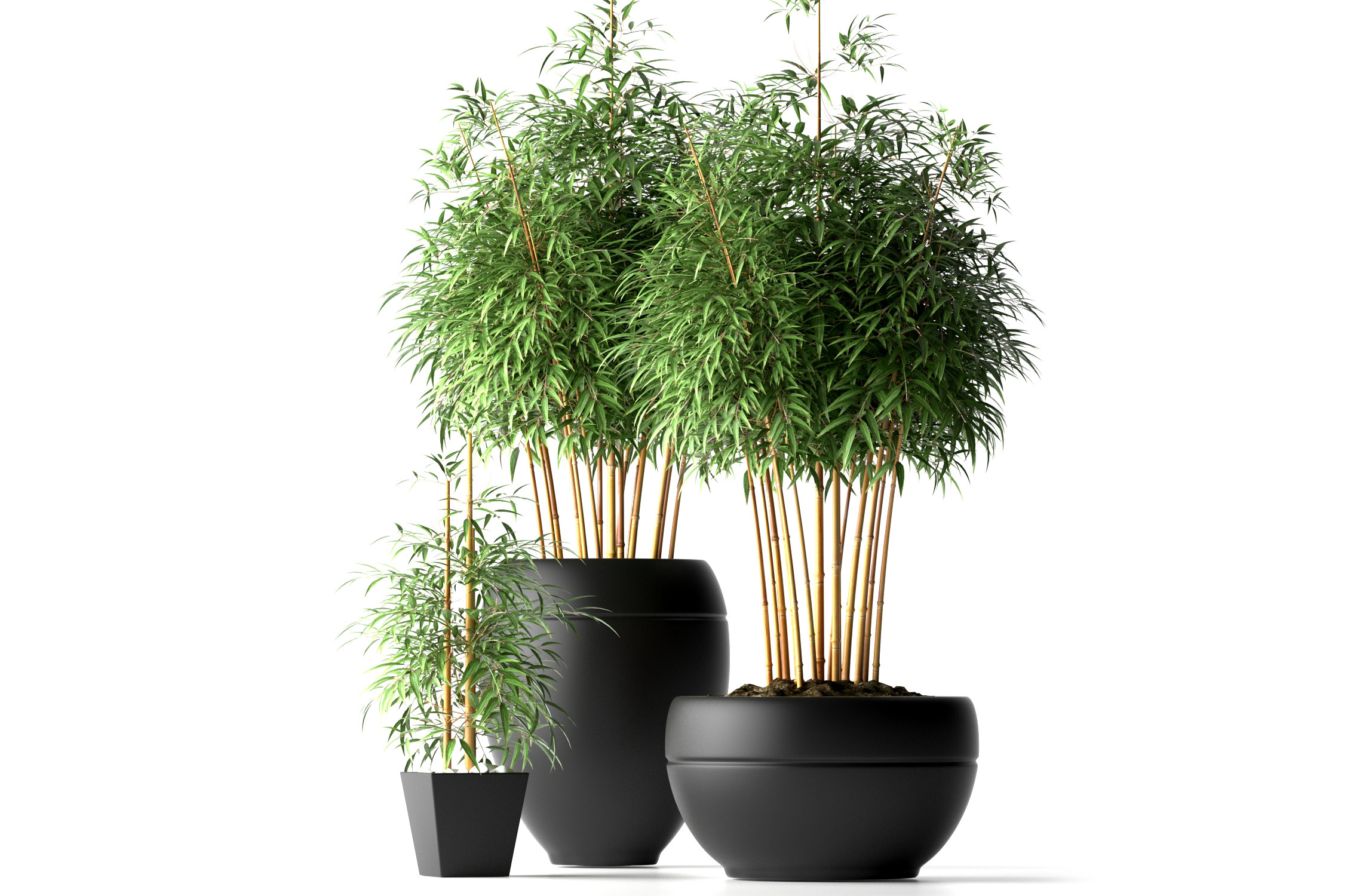 盆栽竹子3d模型下载