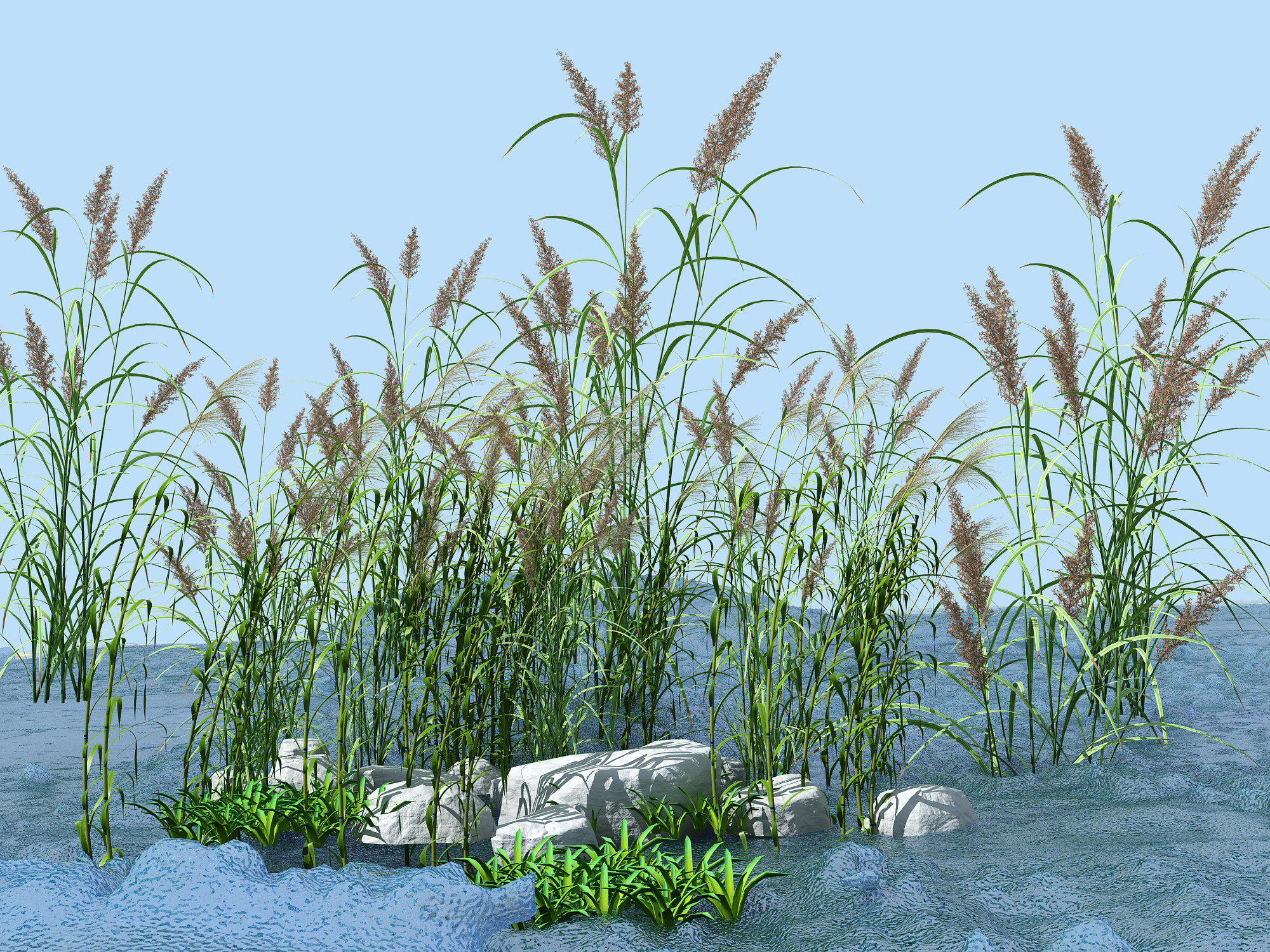 水草湿地 3d模型下载