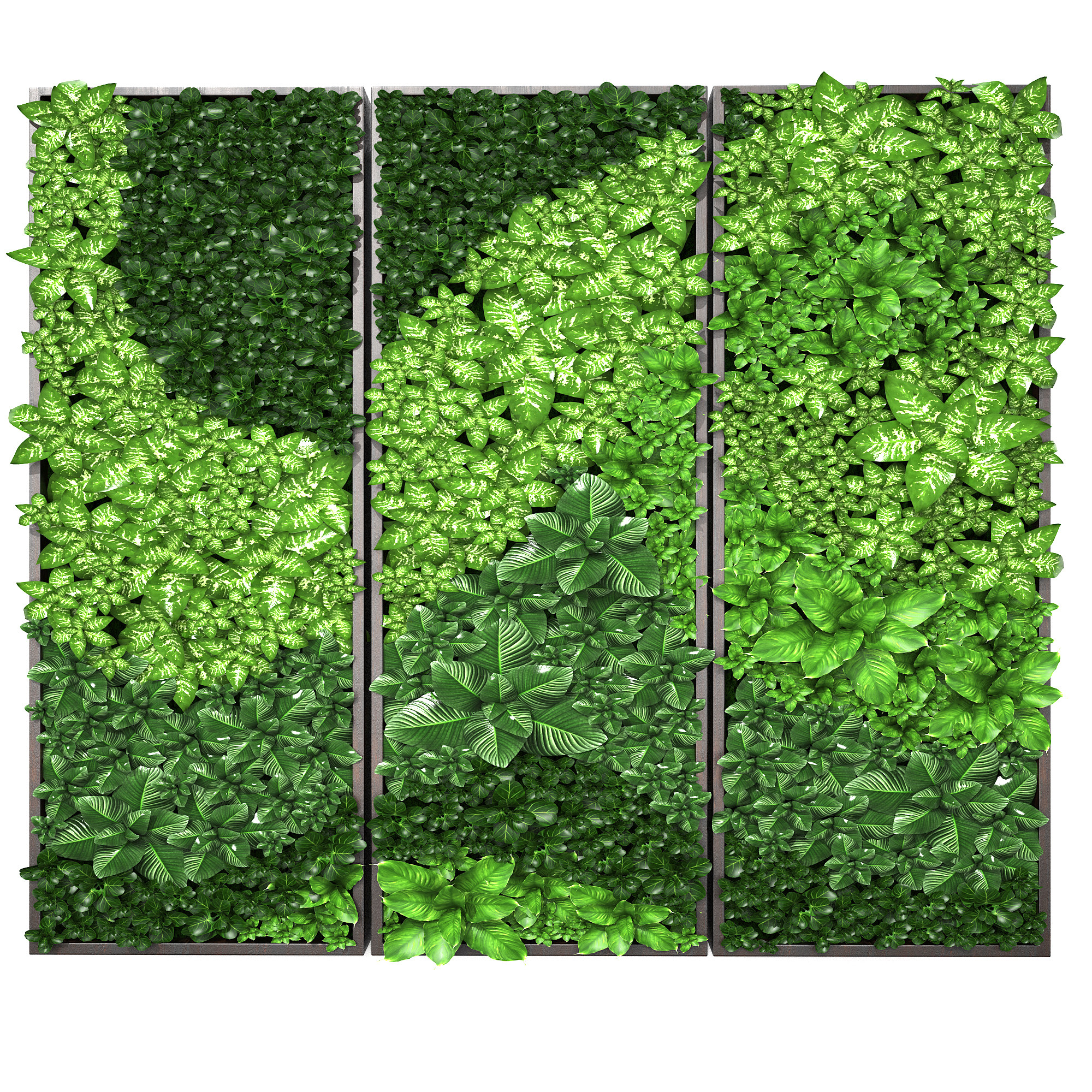 植物墙,绿植背景墙，苔藓墙面3d模型下载
