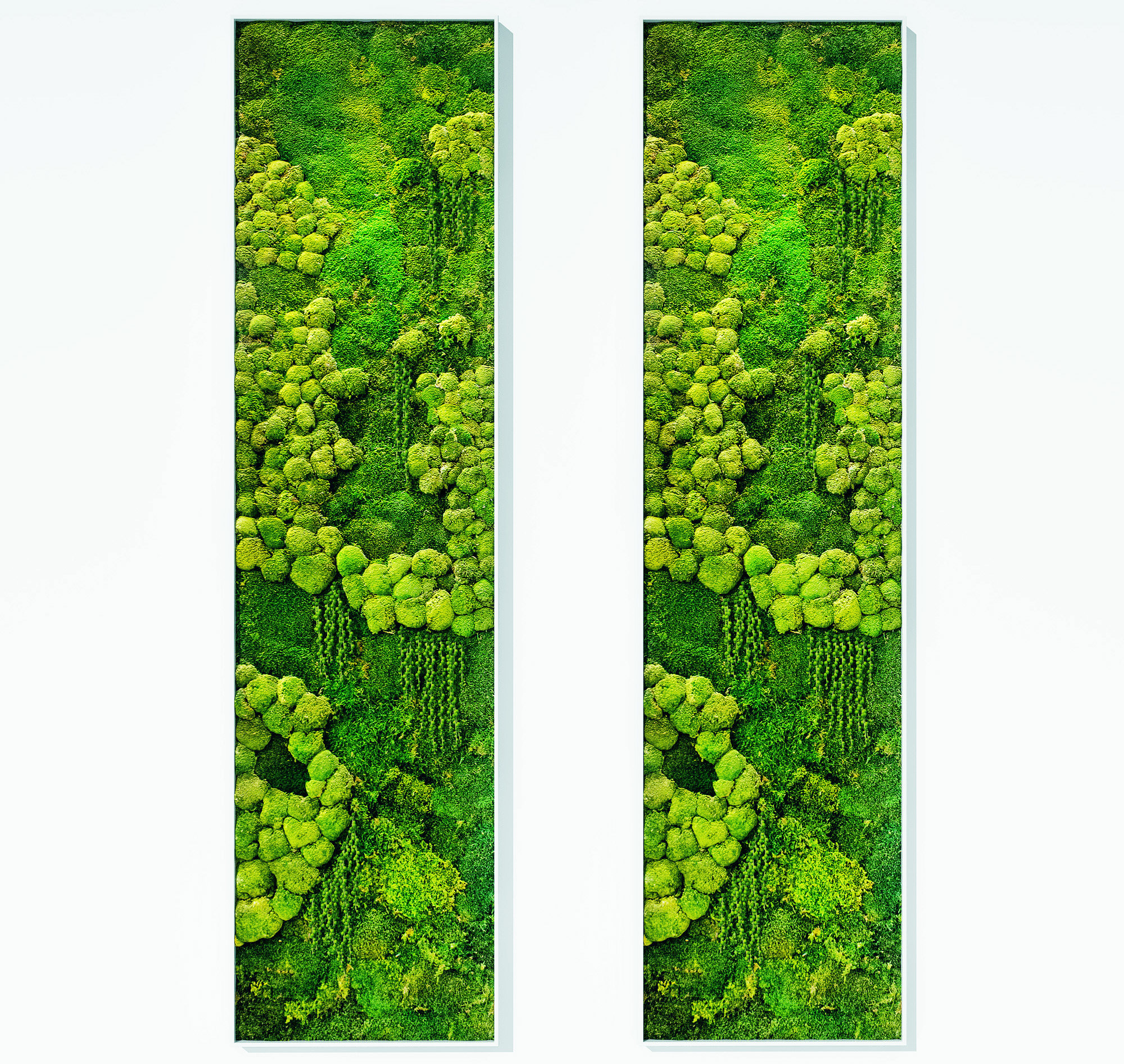 现代现代绿植墙，植物墙，苔藓墙面造型3d模型下载
