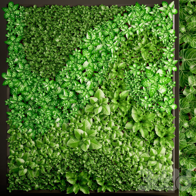 绿植植物墙3d模型下载