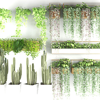 花槽阳台植物绿植，仙人掌3d模型下载