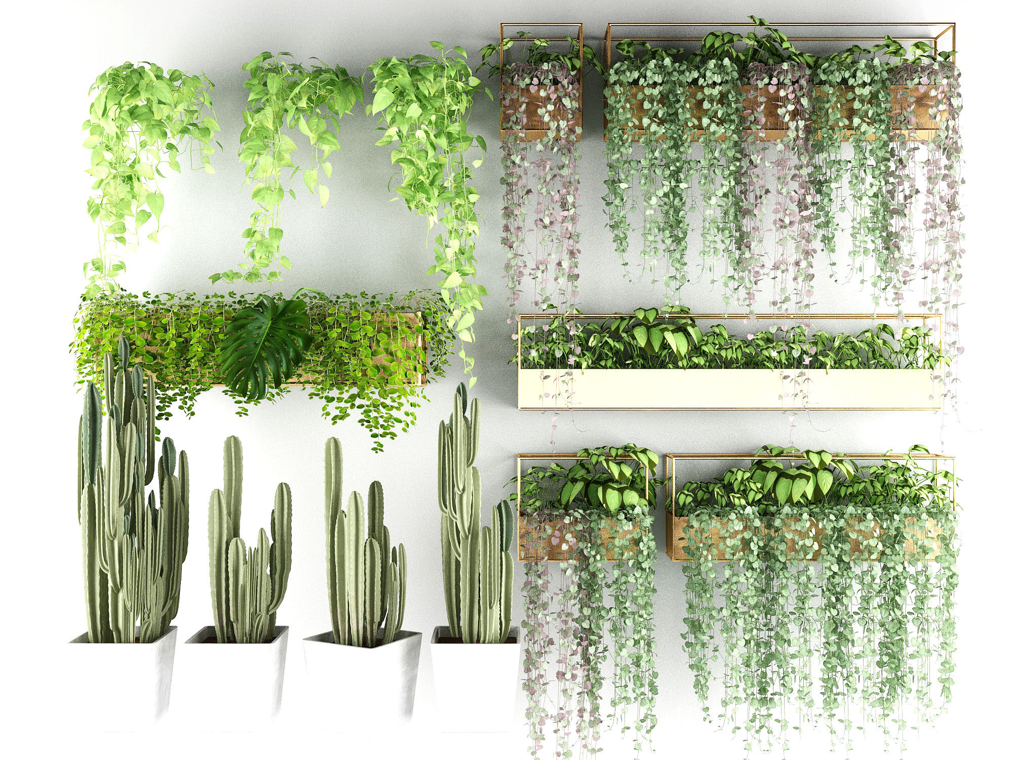 花槽阳台植物绿植，仙人掌3d模型下载