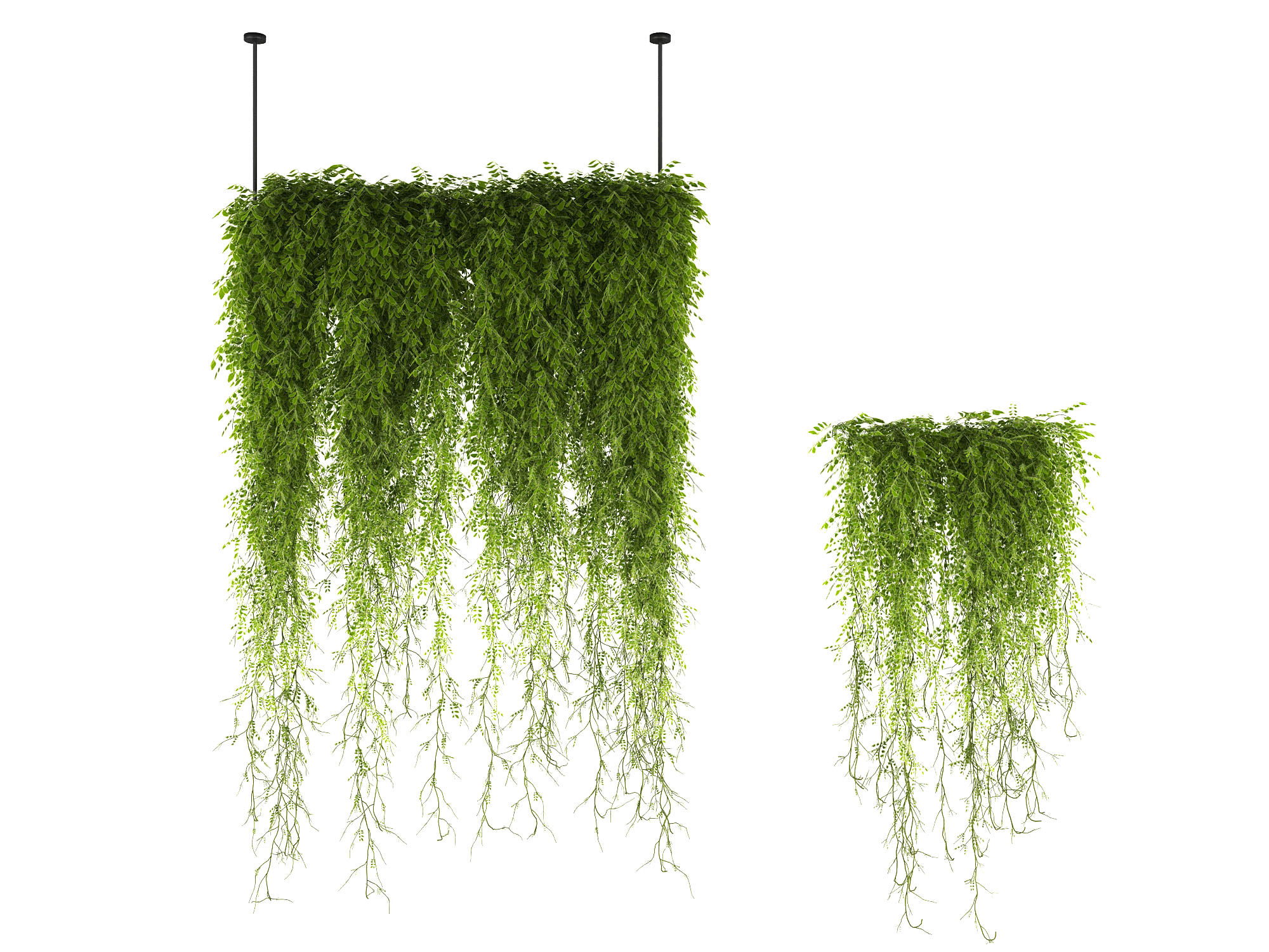 藤蔓植物绿植吊装植物3d模型下载