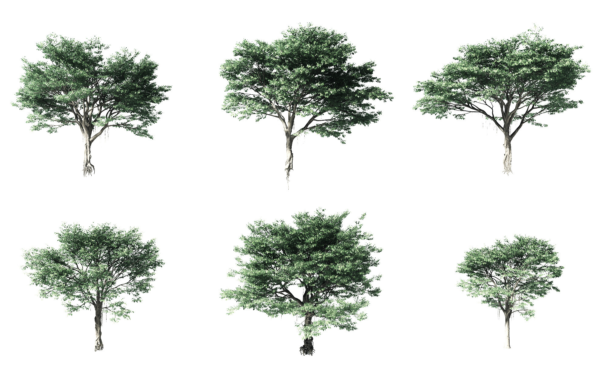 现代树3d模型下载