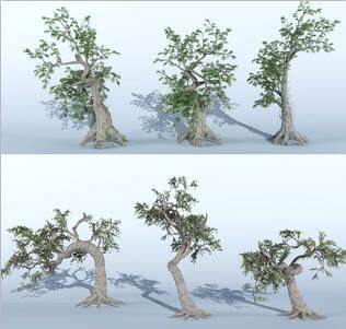 现代树，古树大树，歪脖树，枯树3d模型下载