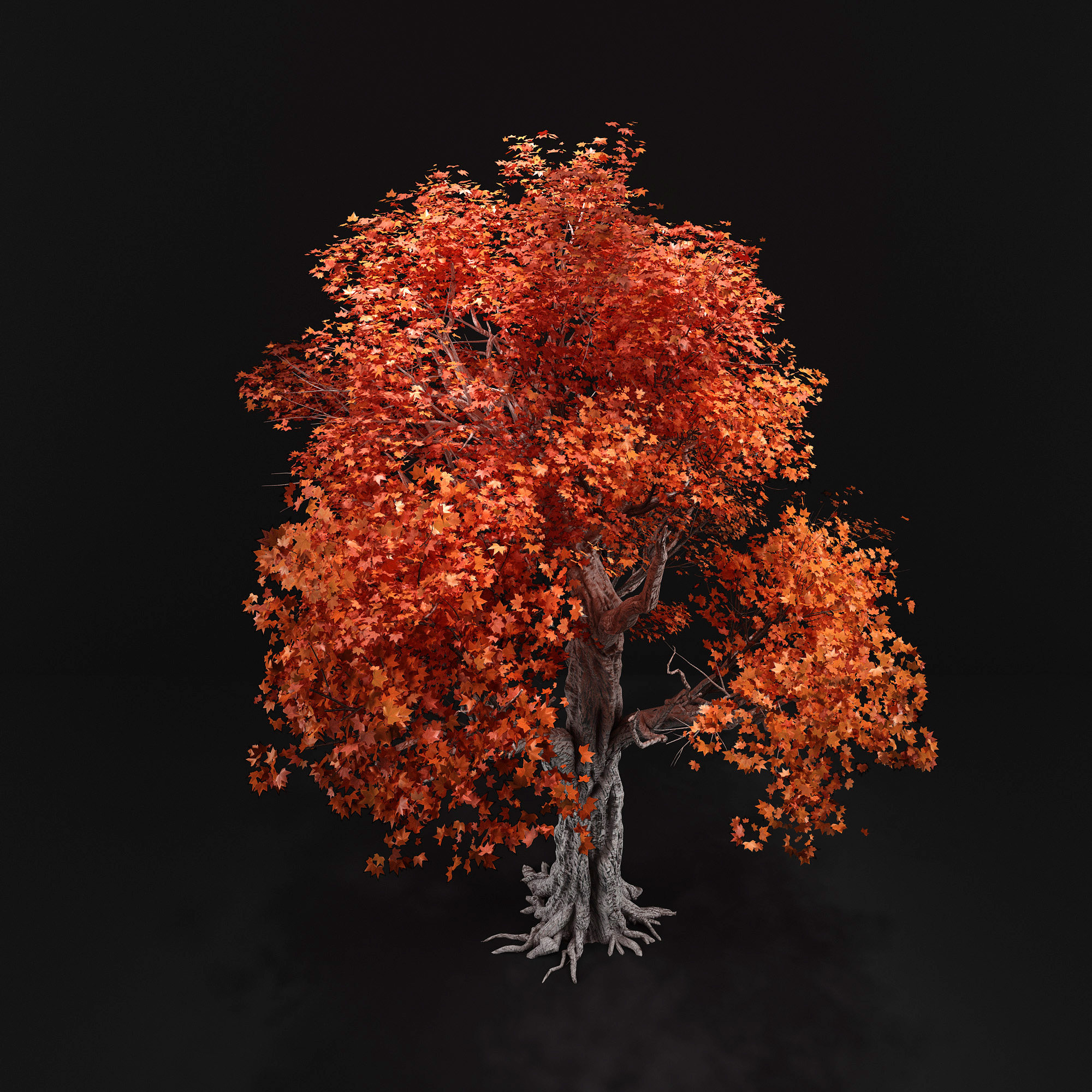 现代树，古树枫叶树3d模型下载