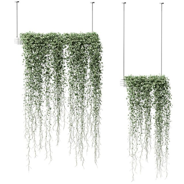 绿植藤蔓，吊篮3d模型下载