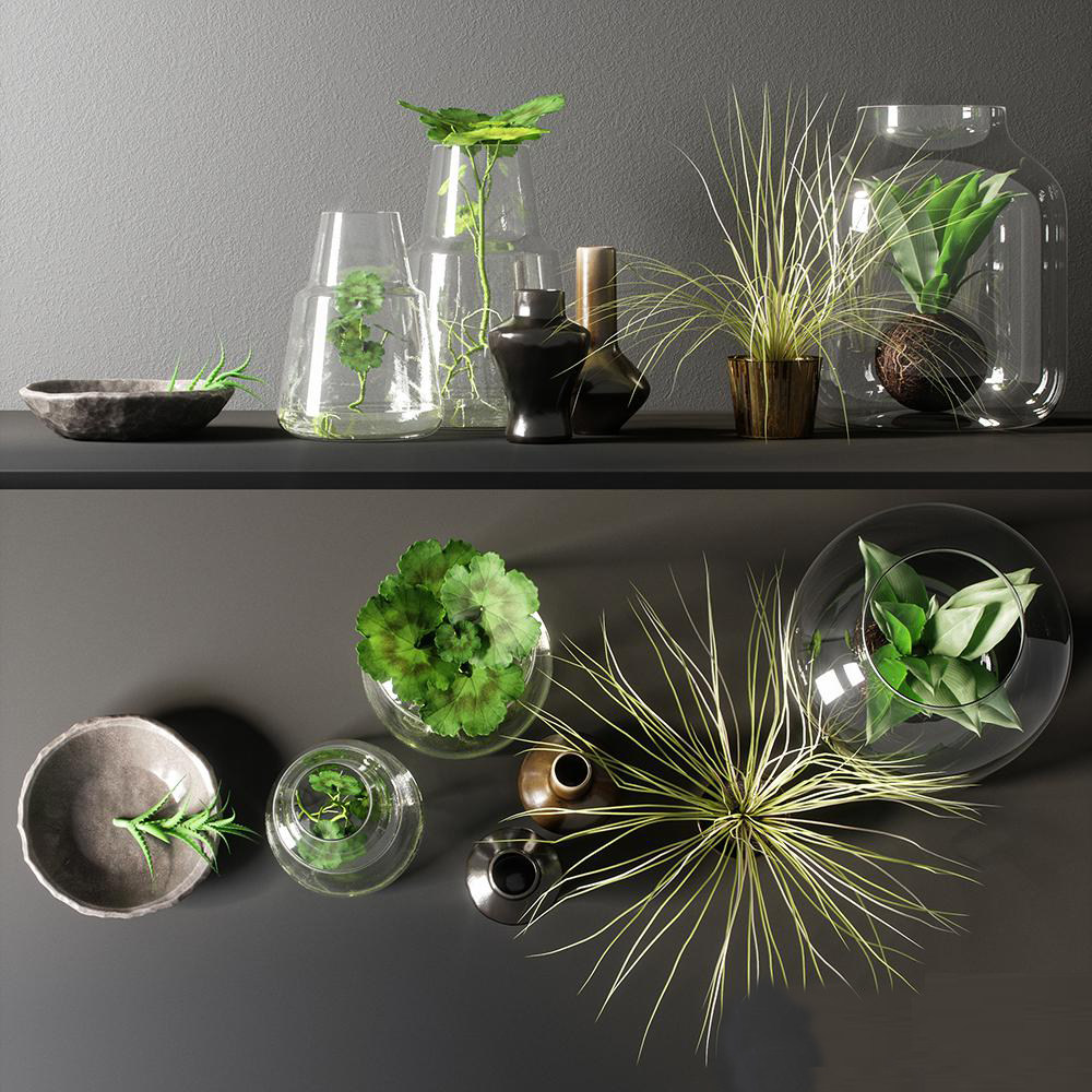 玻璃瓶植物绿植摆件，3d模型下载