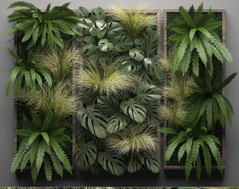 现代绿植墙，植物墙，吊装植物3d模型下载
