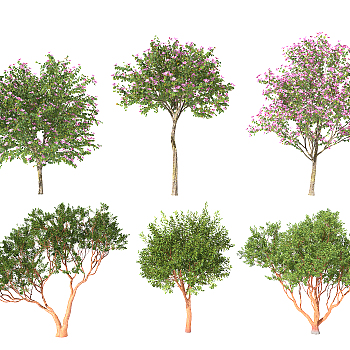 室外景观树木,开花的树樱花树3d模型下载