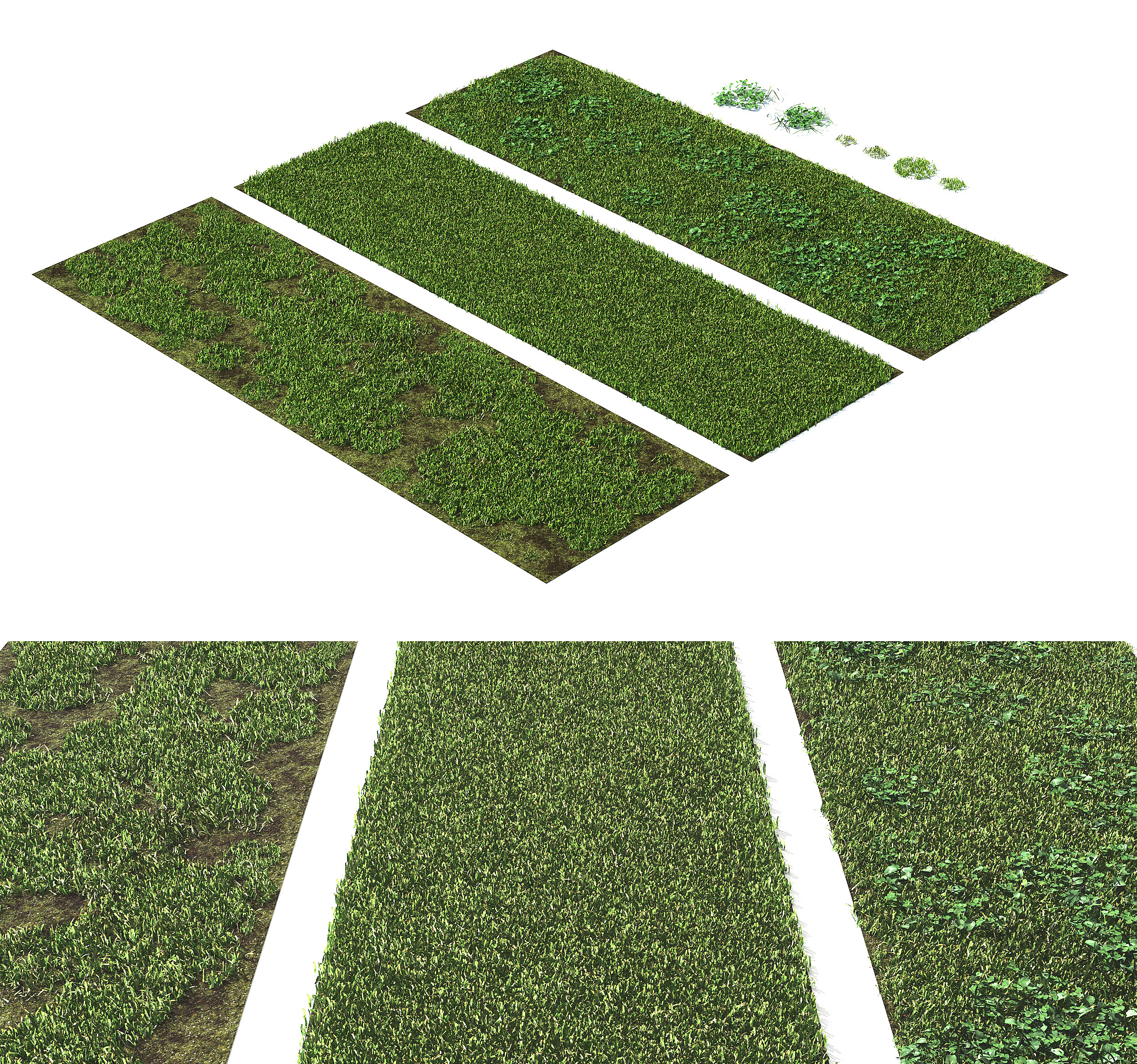 现代绿植草坪，草地3d模型下载