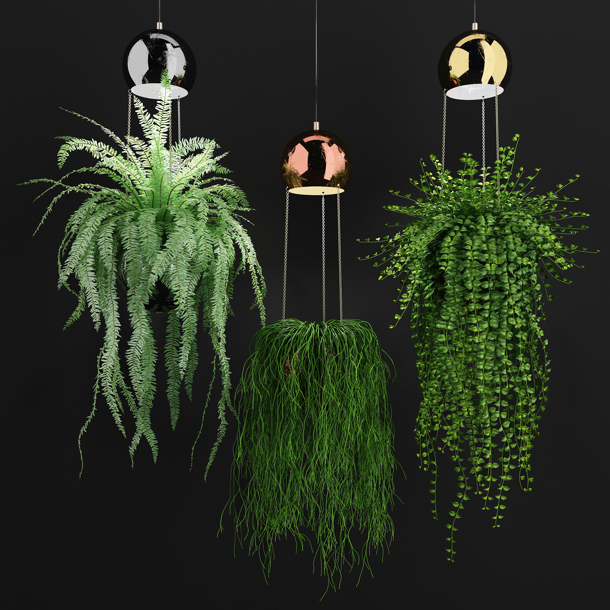 室内悬挂，吊装植物，吊篮吊灯3d模型下载