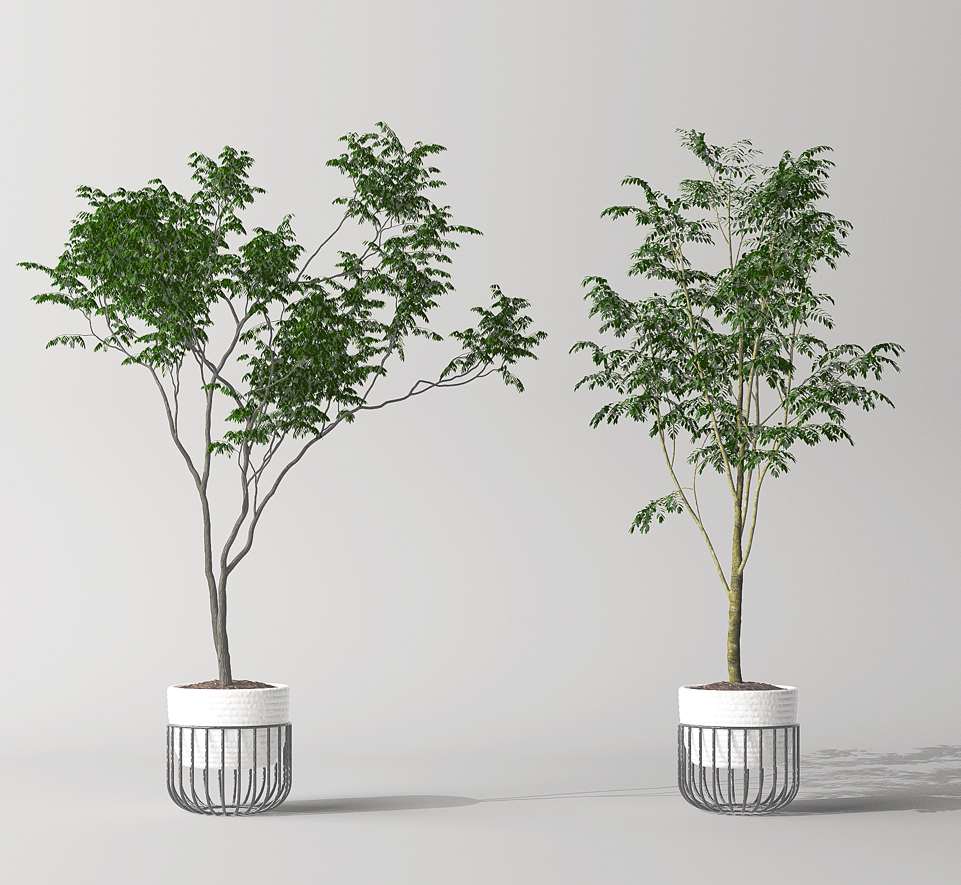 室内植物盆栽盆景花盆3d模型下载
