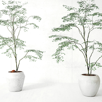 植物绿植盆栽3d模型下载