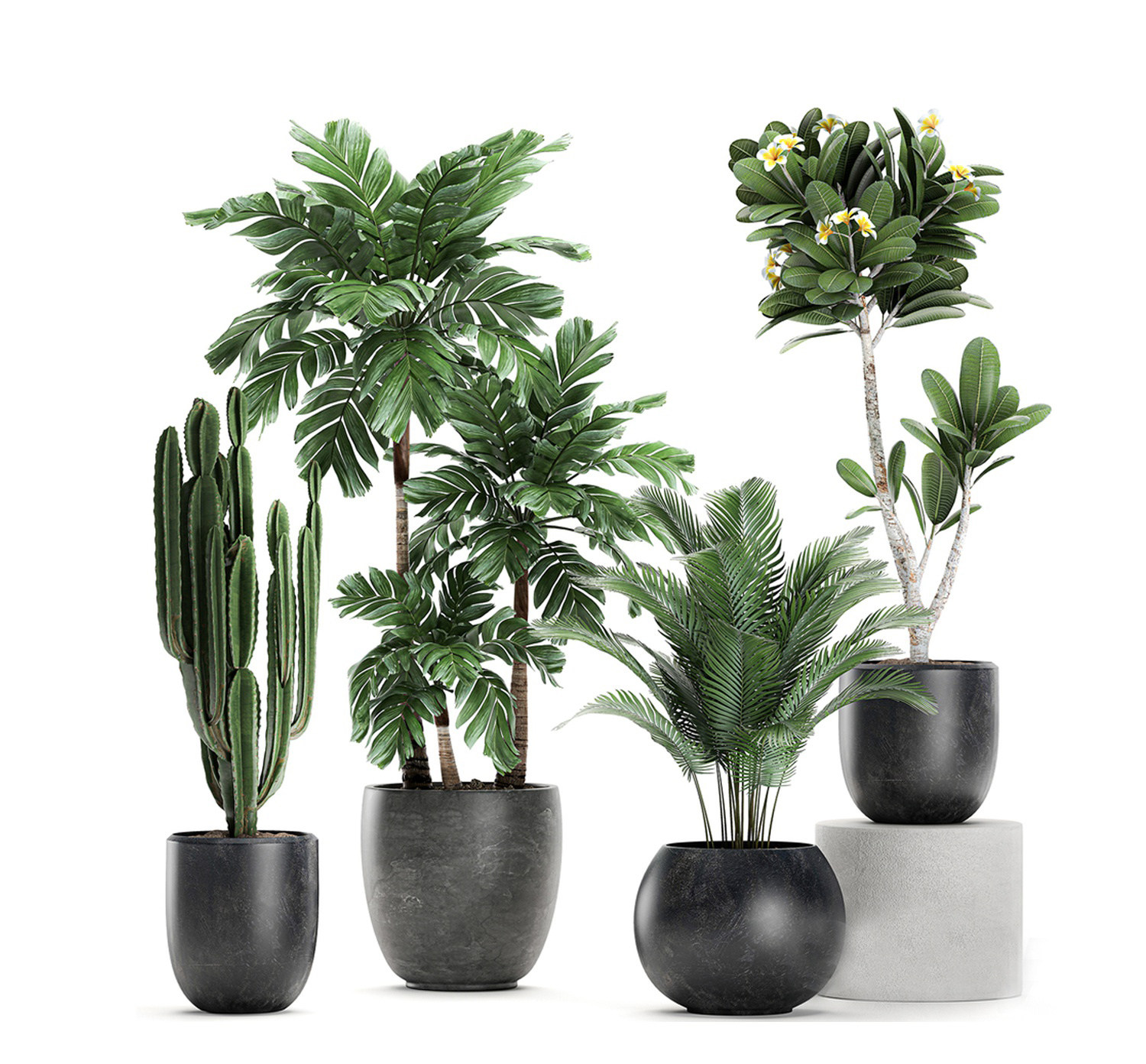 14现代绿植盆栽，花盆，仙人掌3d模型下载