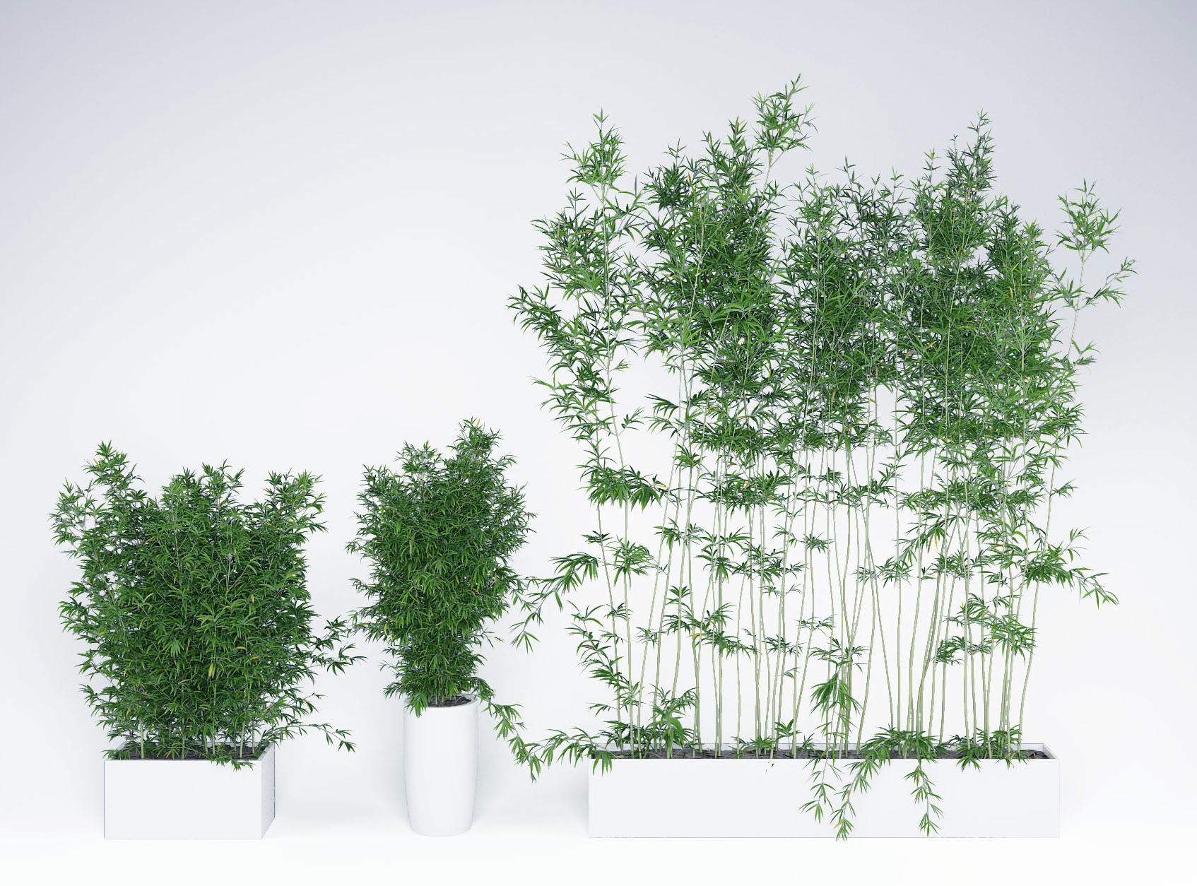 竹子绿植盆栽组合3d模型下载