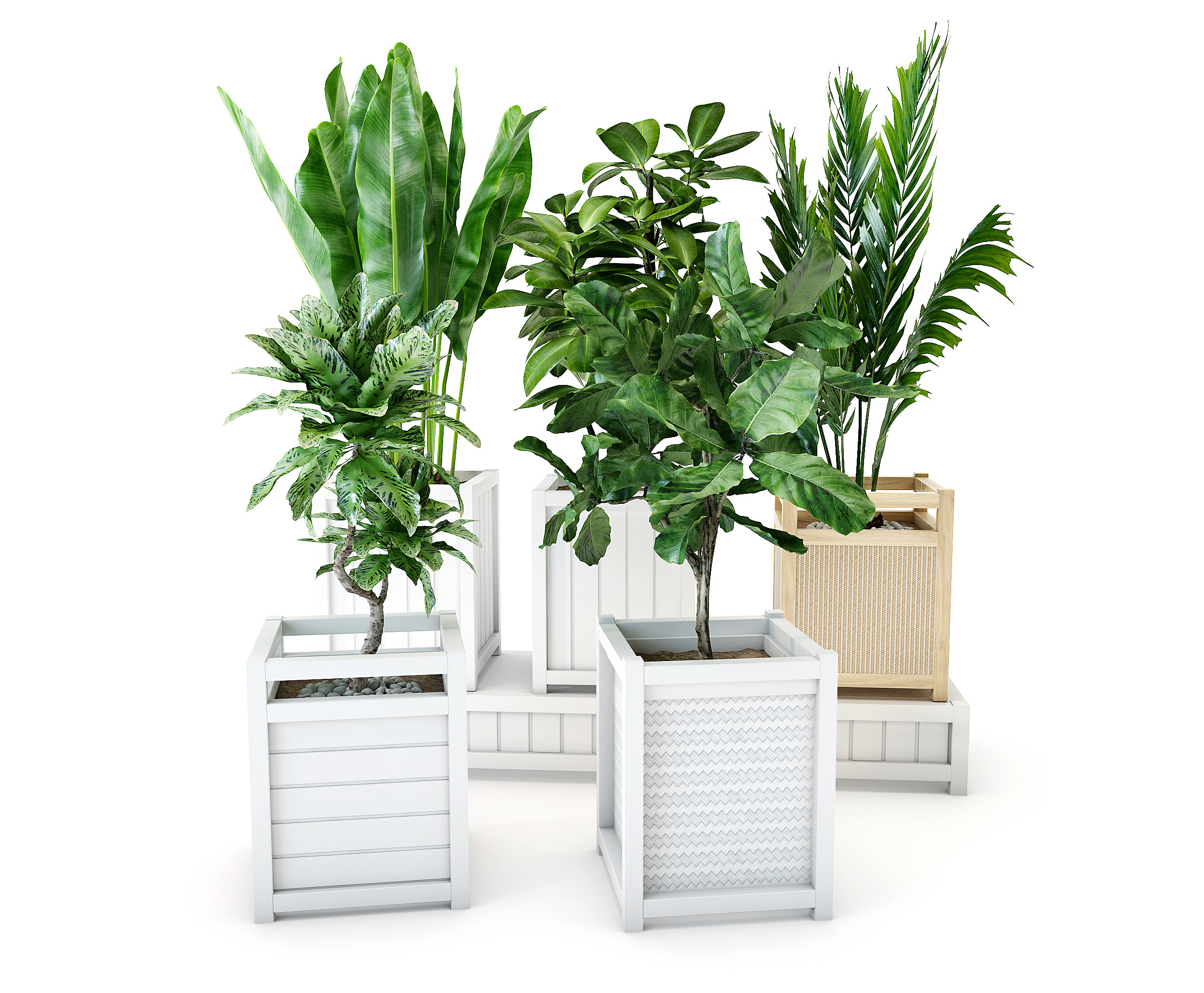 现代户外绿植盆栽3d模型下载
