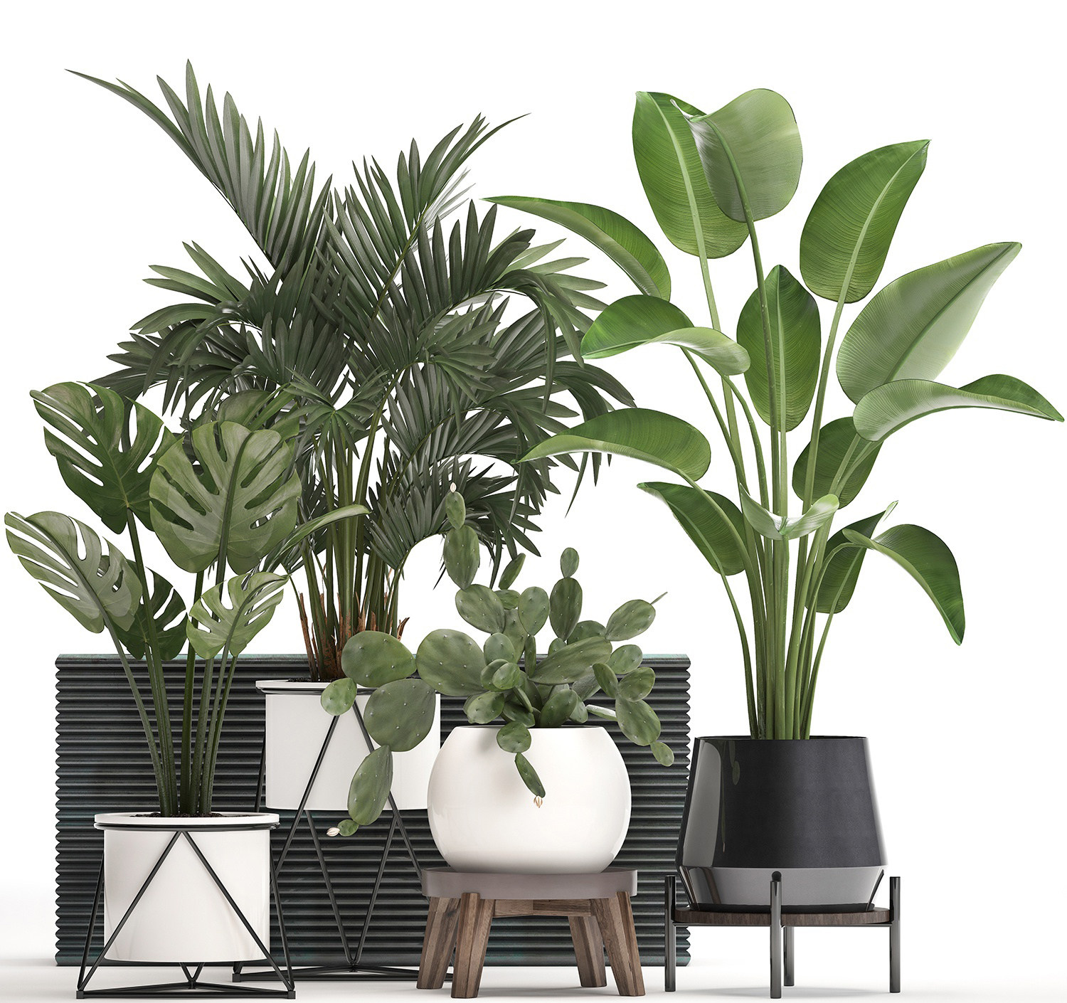 现代盆栽植物3d模型下载