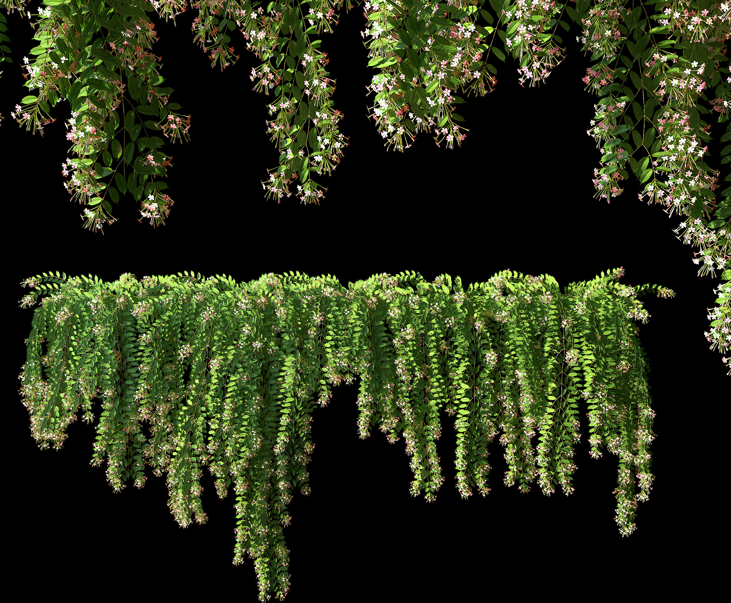 现代藤蔓，绿植3d模型下载