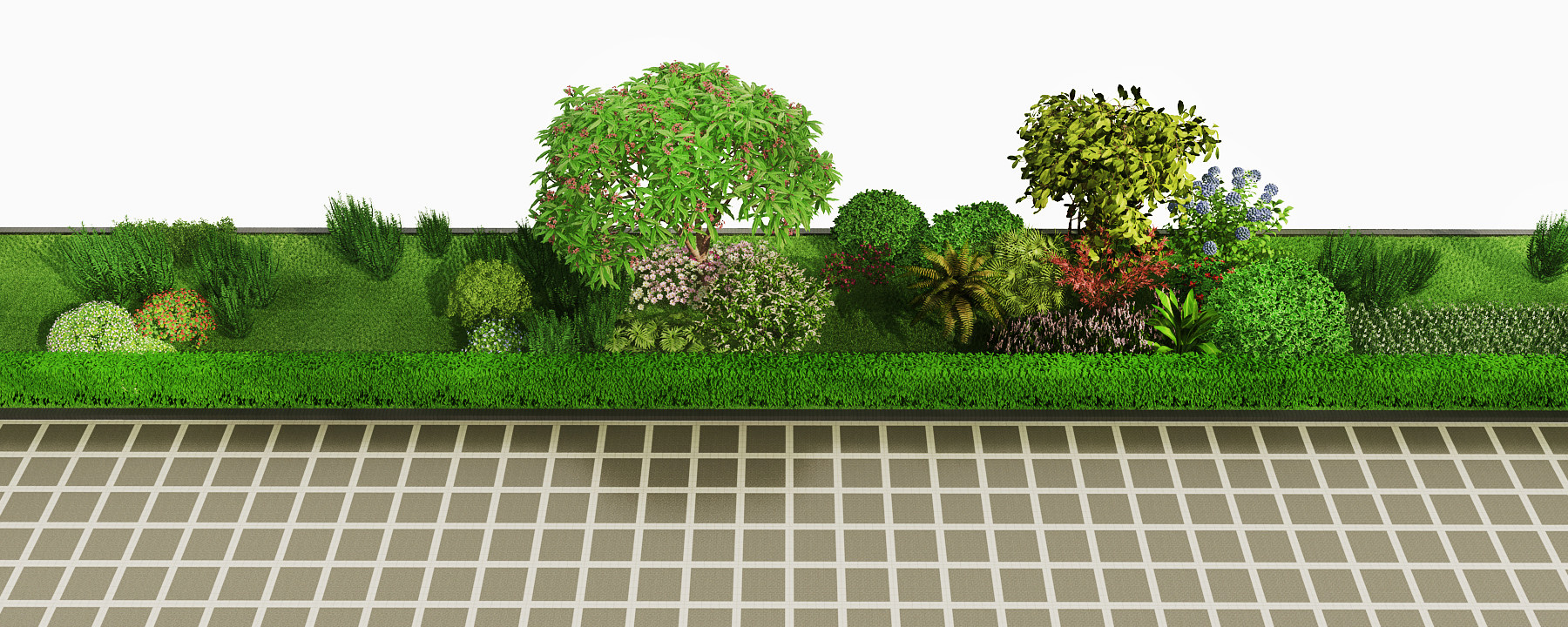现代灌木花草植物3d模型下载