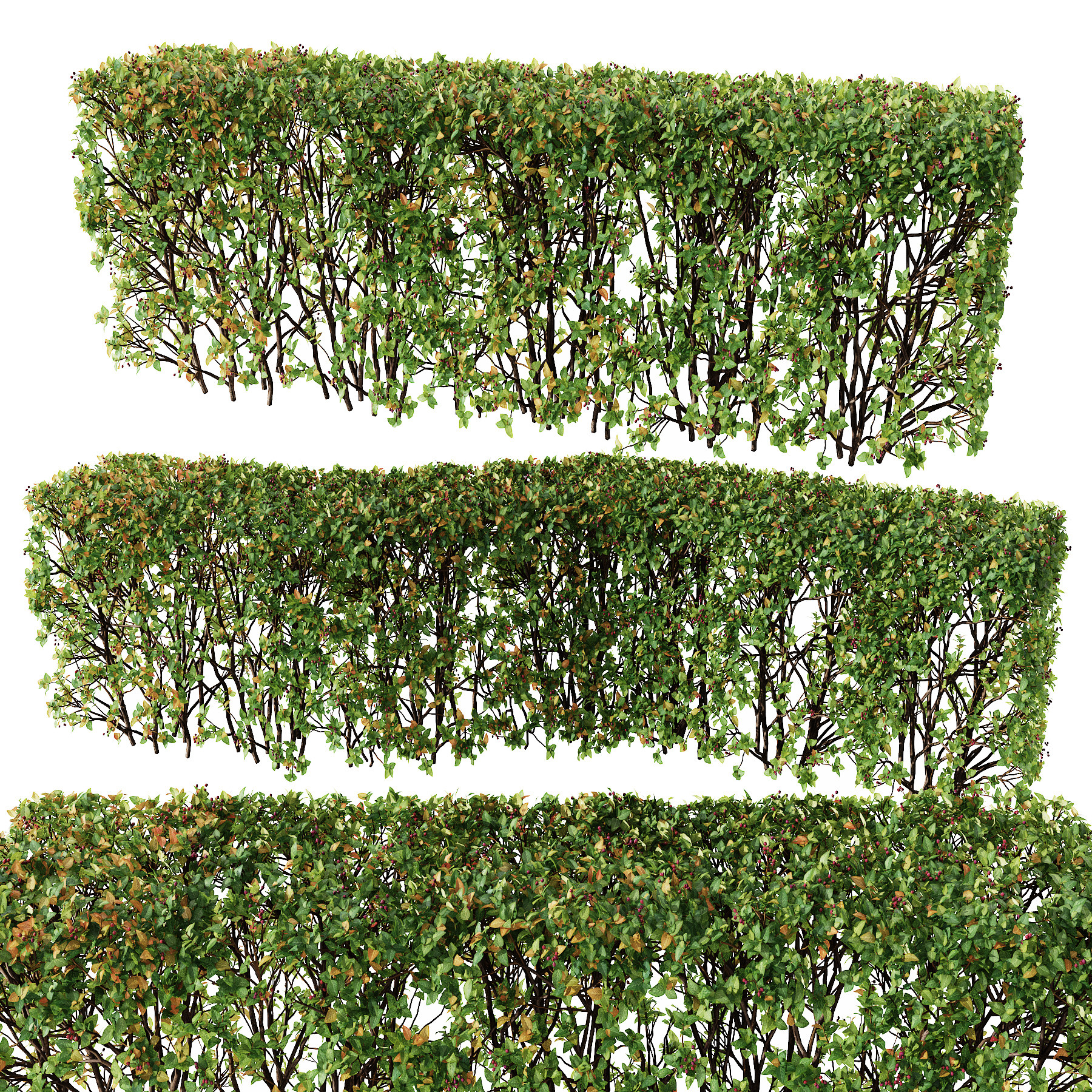 现代绿植灌木3d模型下载