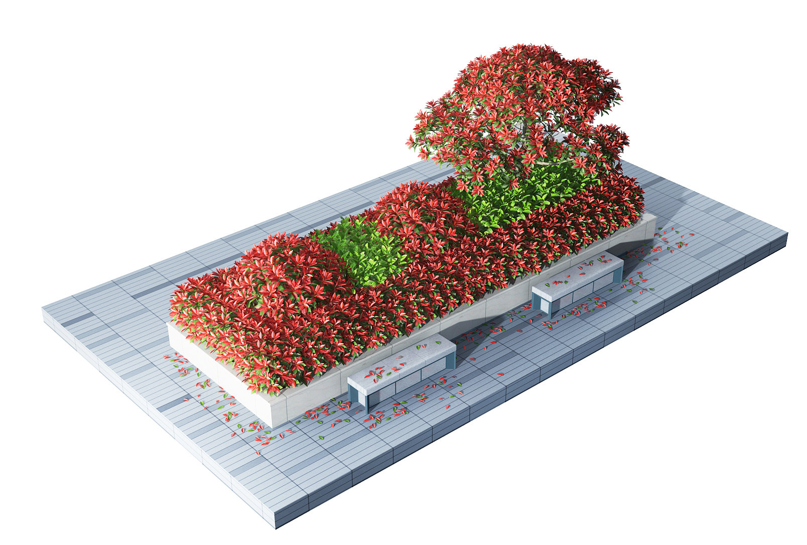 现代红叶石楠灌木3d模型下载