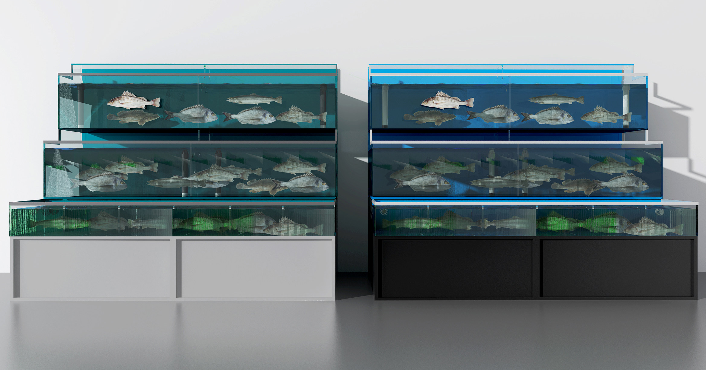 现代海鲜酒楼展示鱼缸,海鲜池3d模型下载