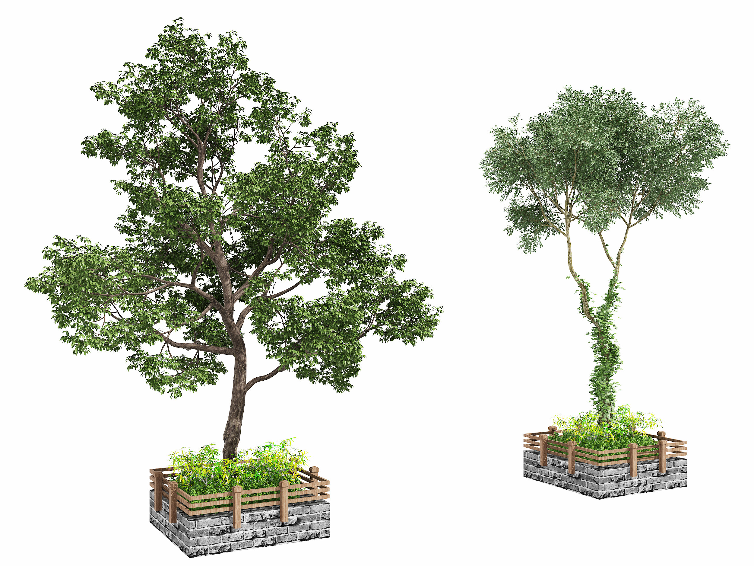 树，树池,3d模型下载
