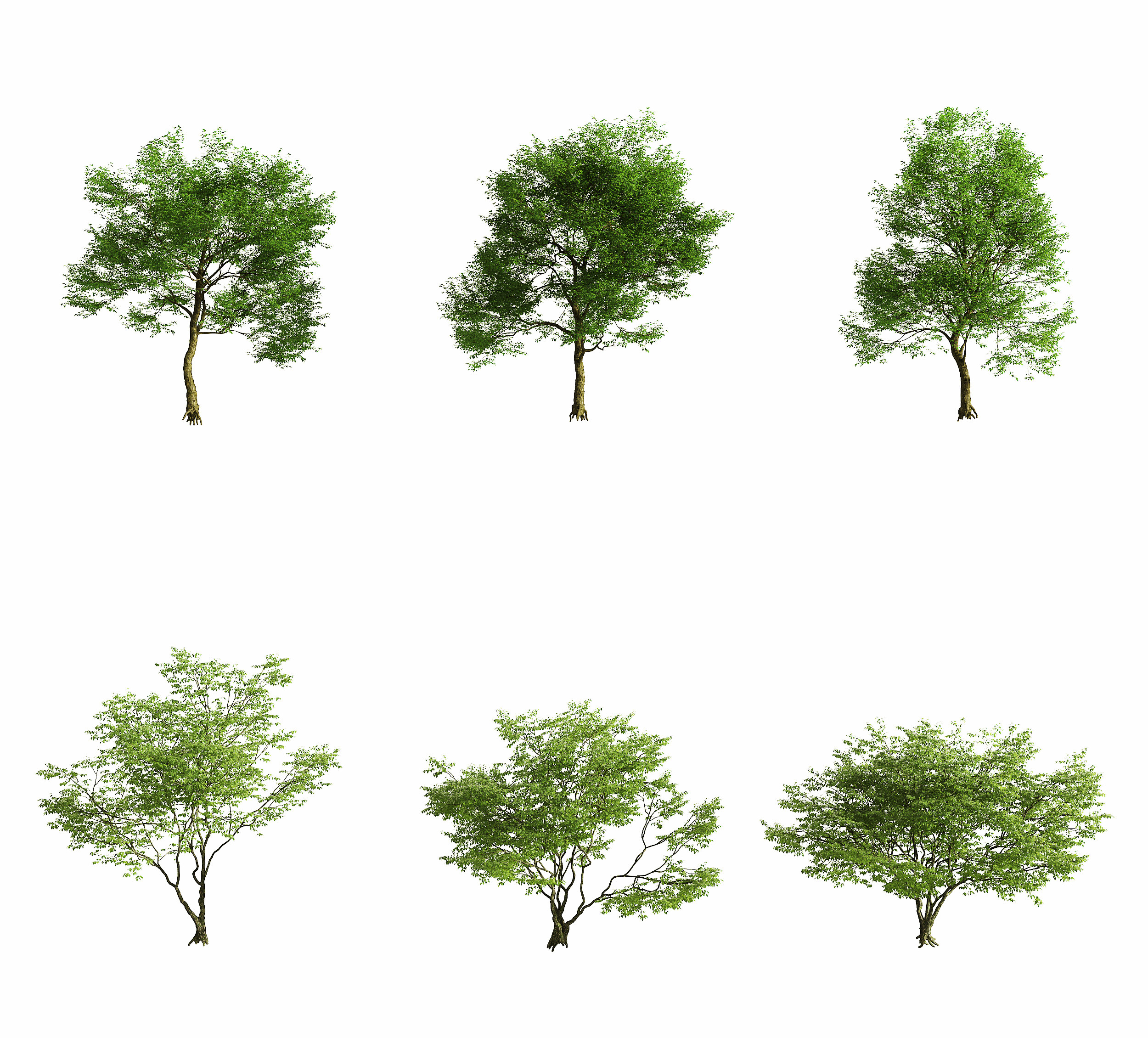 现代城市街道树木,3d模型下载