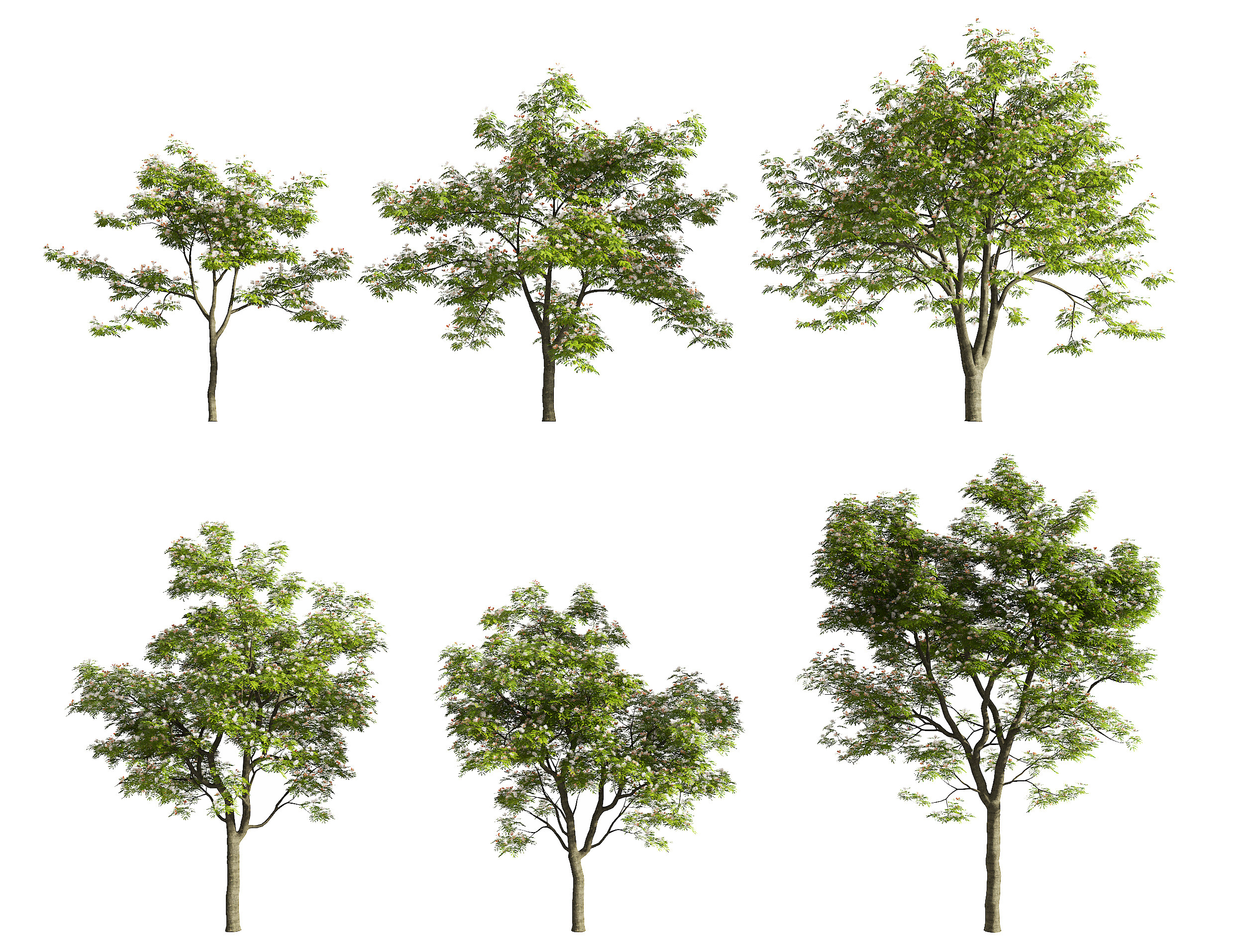 现代树,3d模型下载
