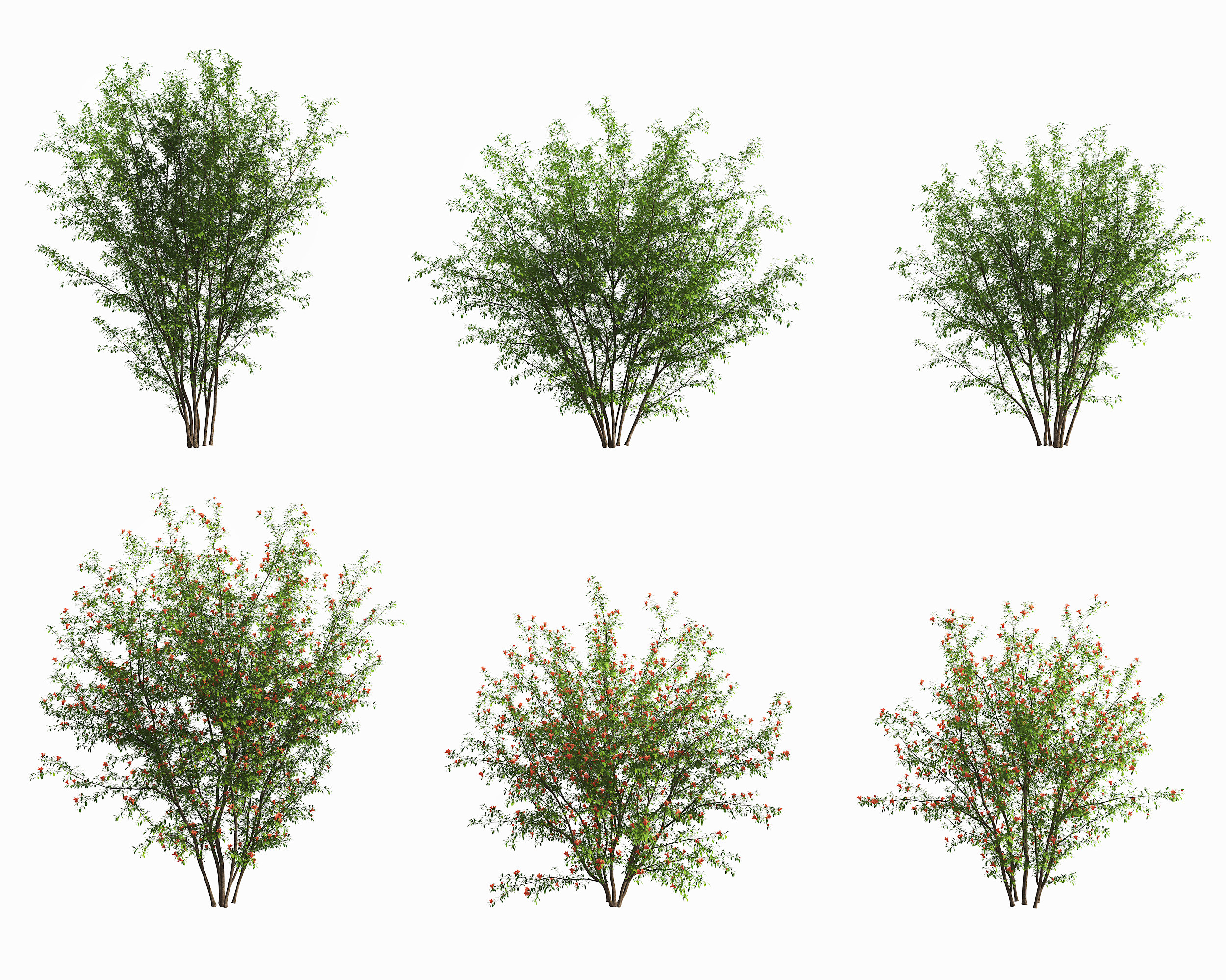 现代景观树木,3d模型下载