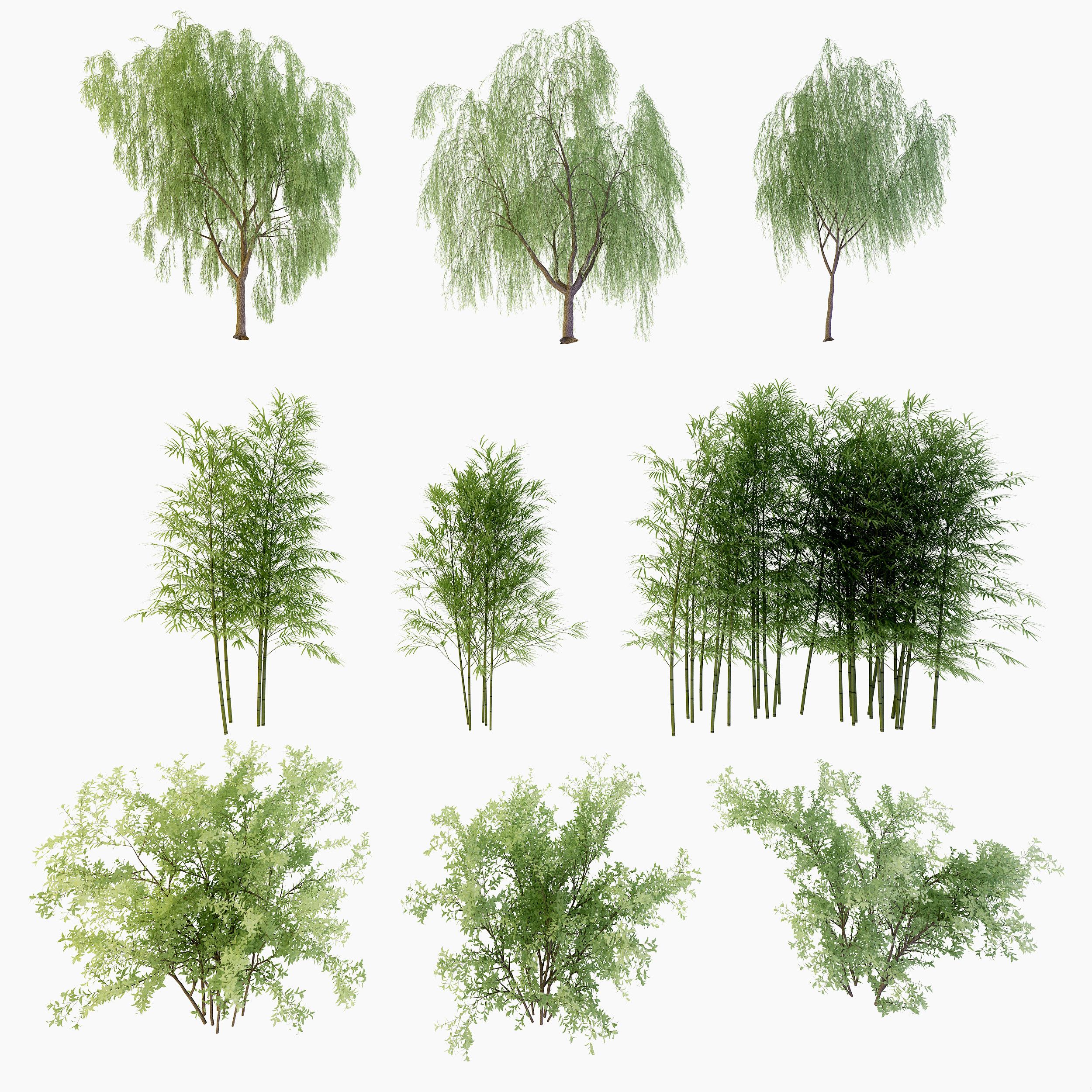 现代柳树竹子,3d模型下载
