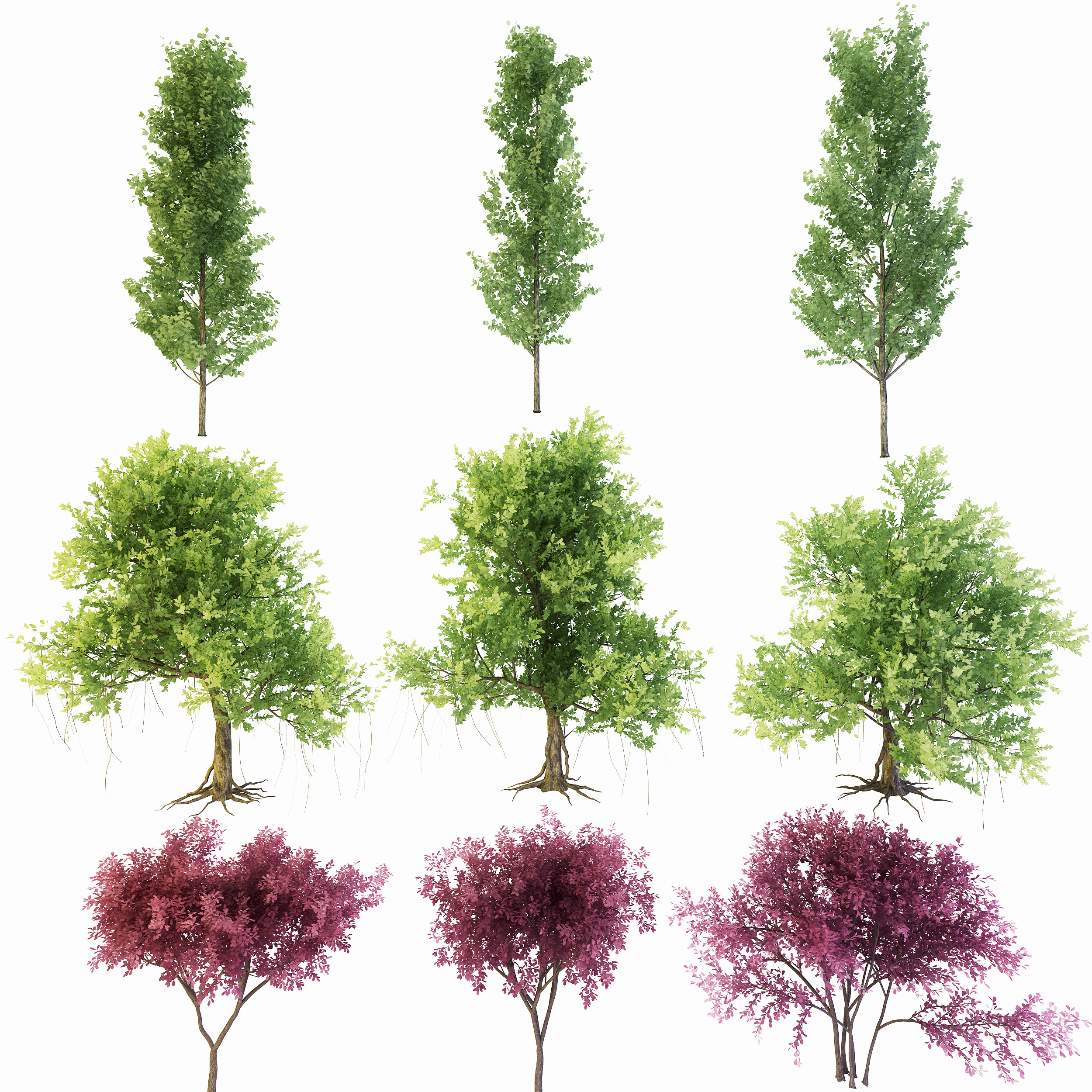 现代景观树,矮树3d模型下载