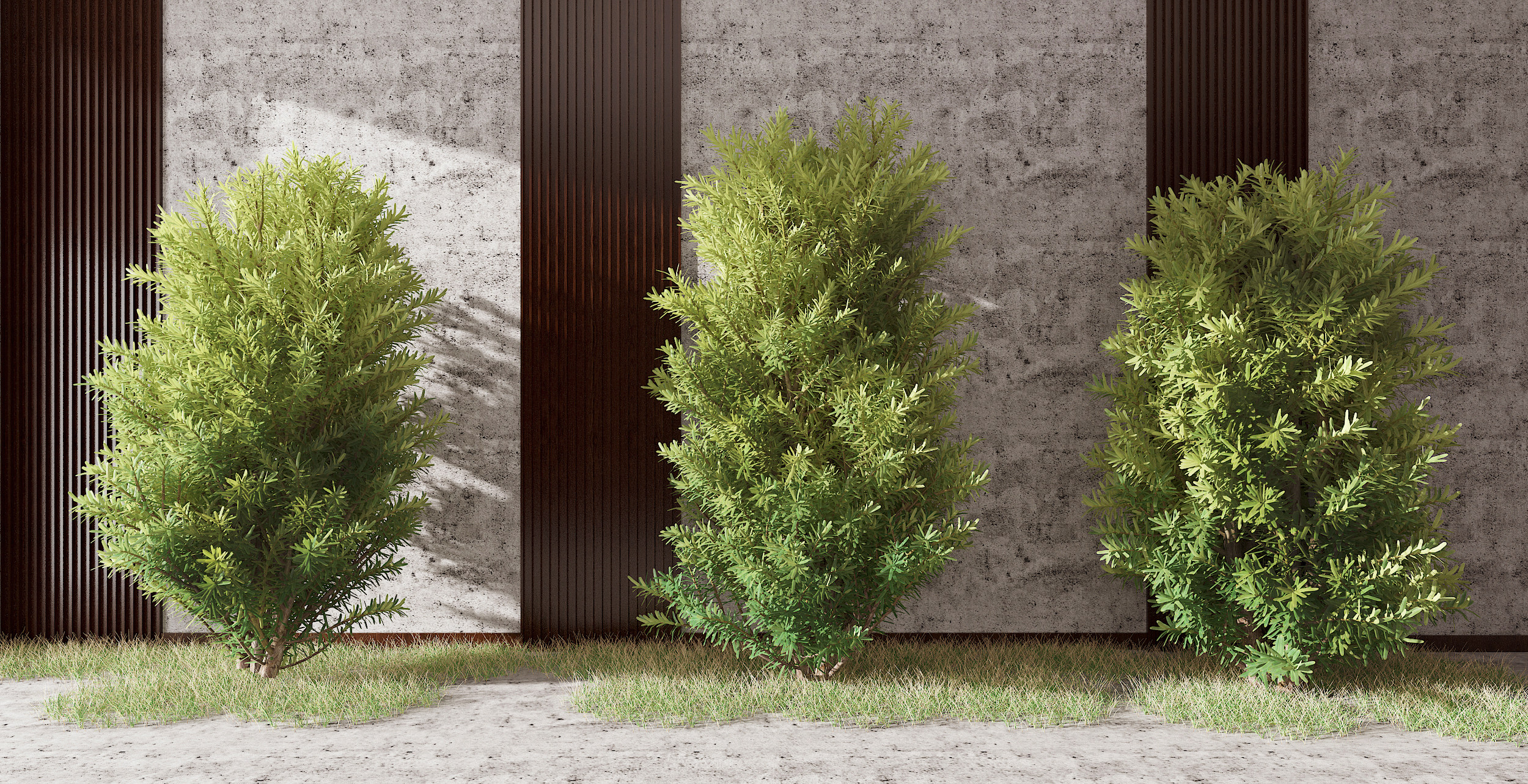 现代红豆杉景观树,3d模型下载