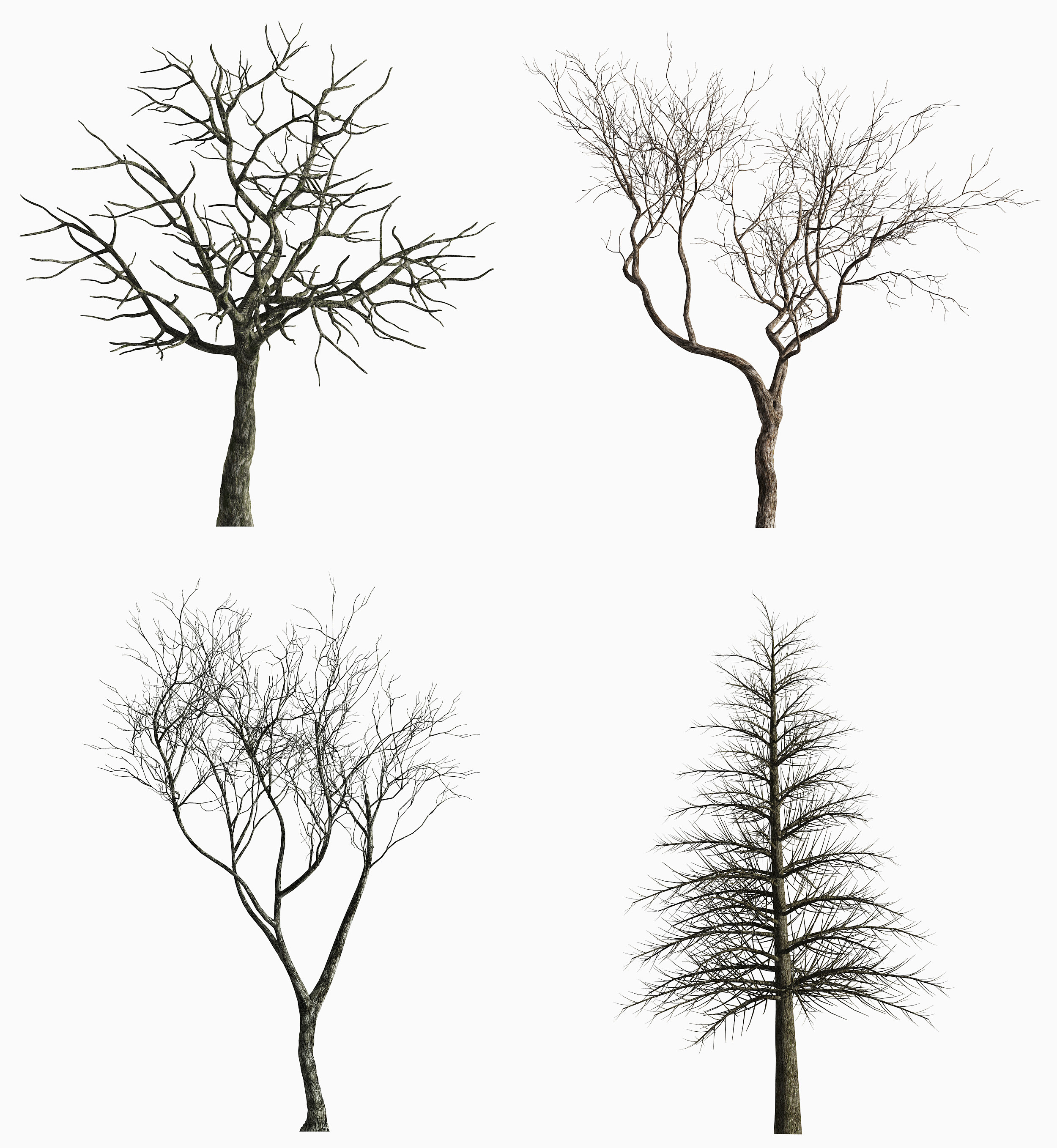 现代景观树枯木,干枝3d模型下载
