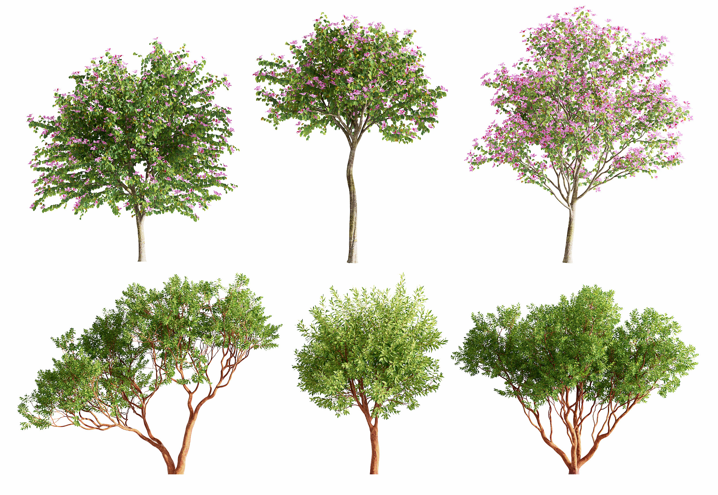 现代室外景观树木,3d模型下载