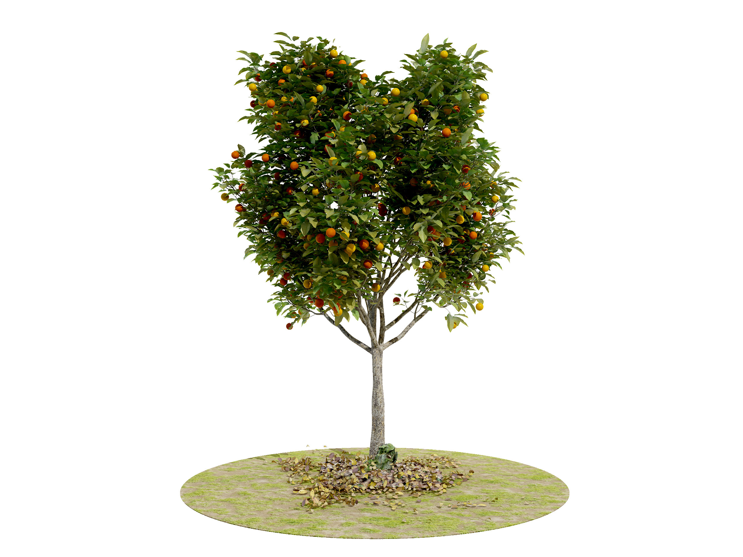 现代果树3d模型下载