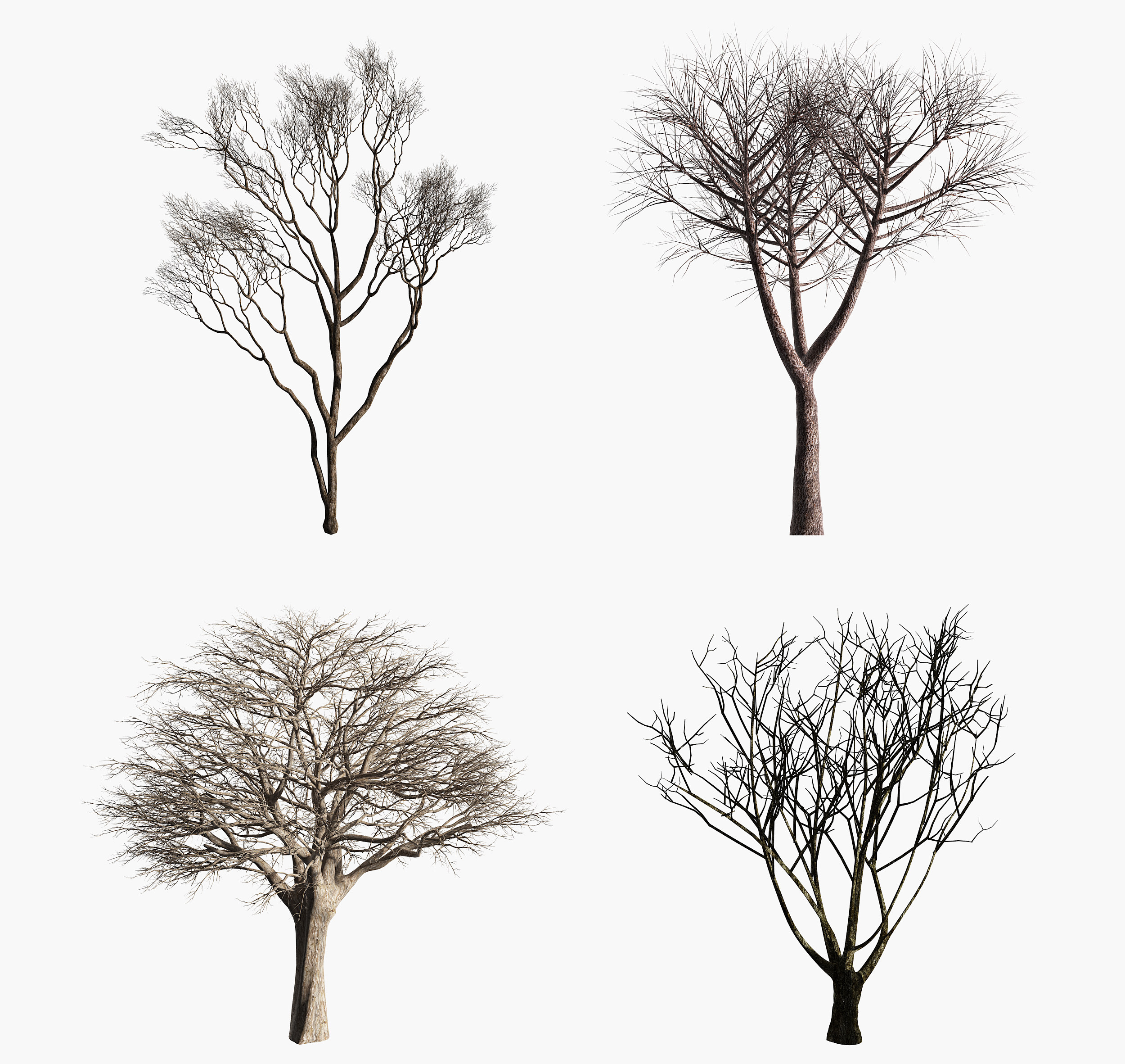现代景观枯树,干支3d模型下载