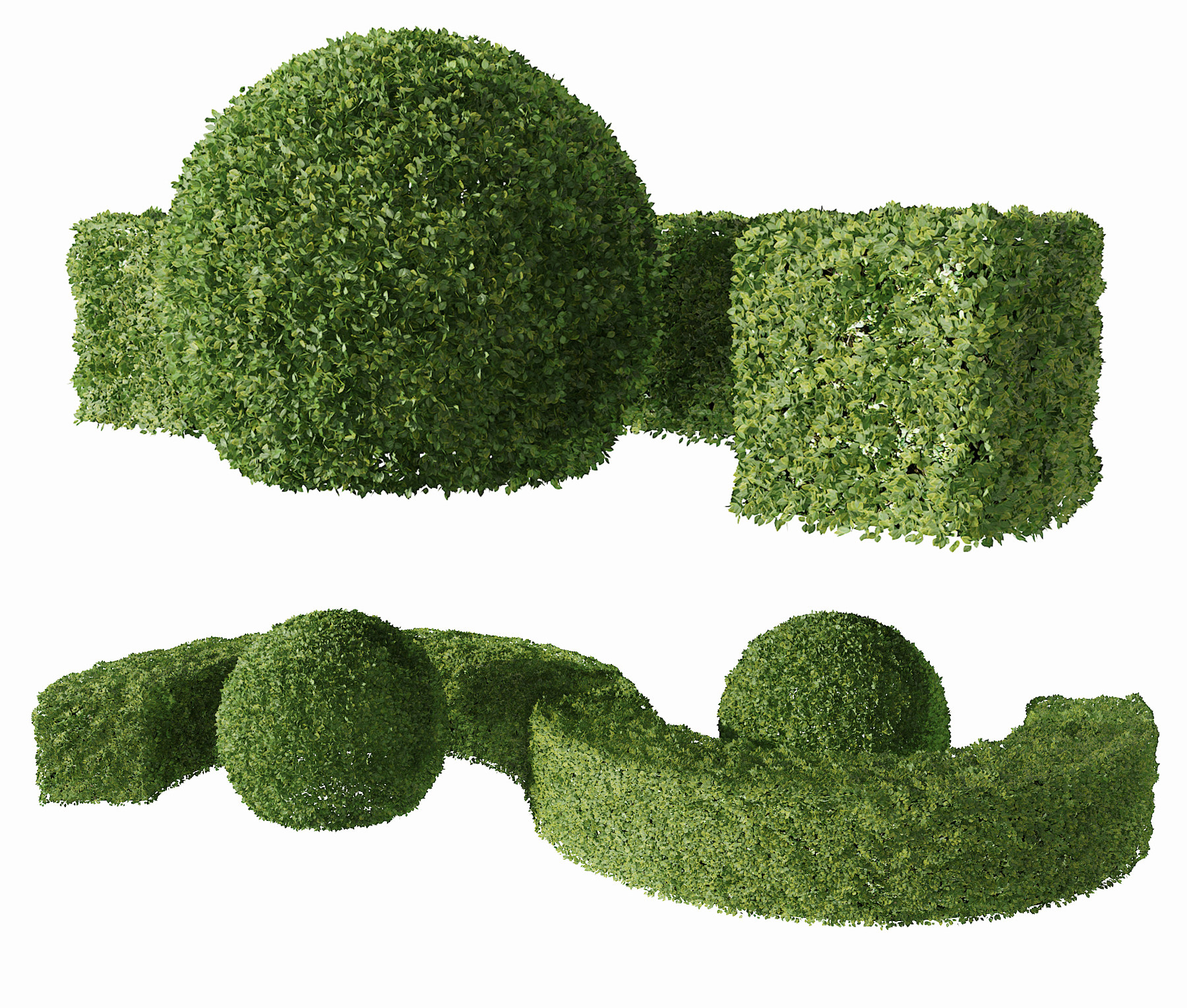 现代绿篱灌木,3d模型下载