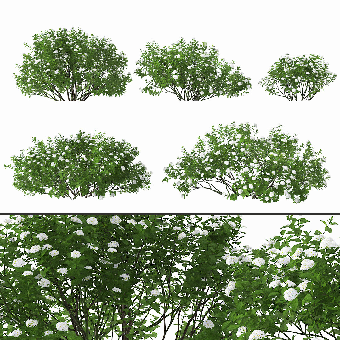 现代绿植灌木3d模型下载