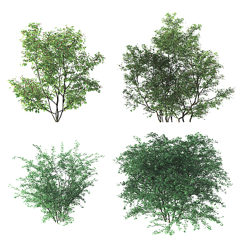 现代绿植灌木,3d模型下载