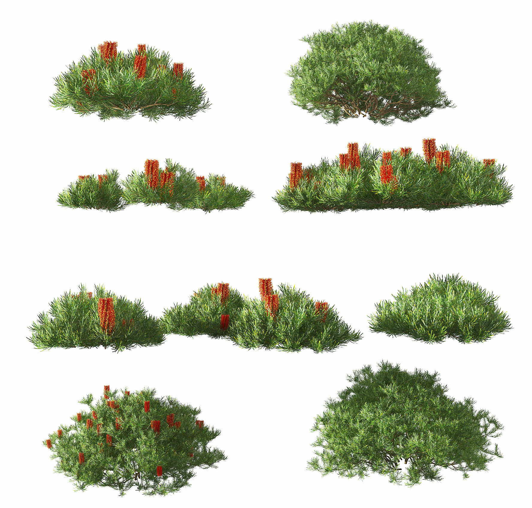 现代绿植灌木丛,3d模型下载