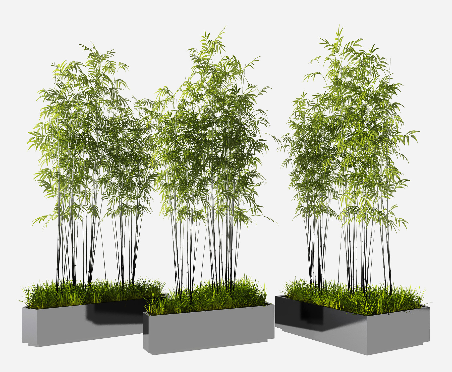 现代竹子盆栽,树池3d模型下载