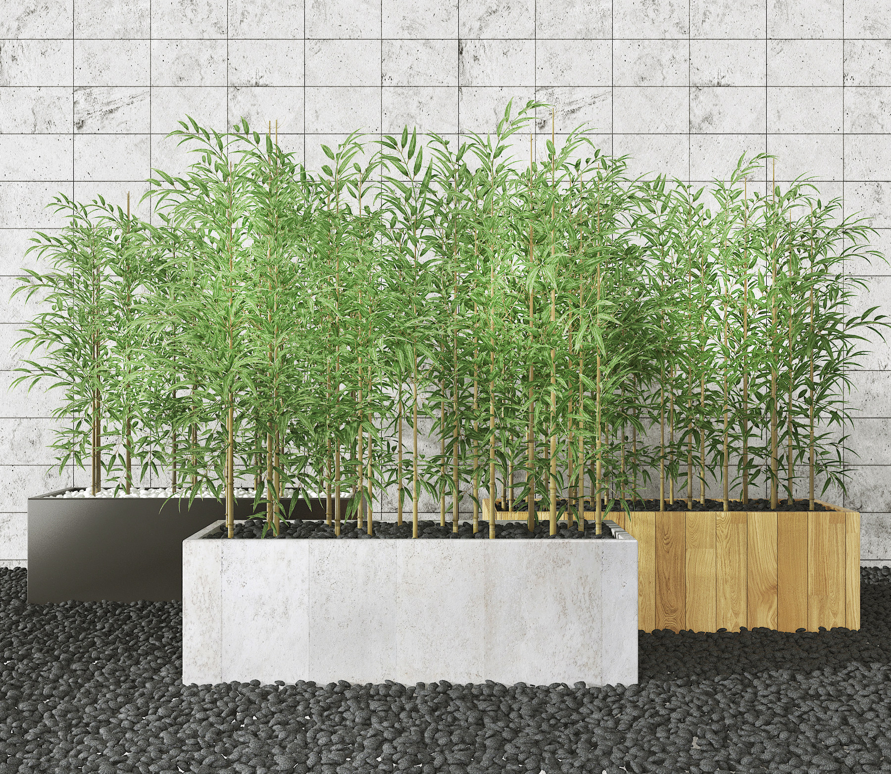 现代室外竹子盆栽,3d模型下载