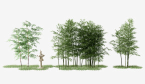 现代竹子毛竹,3d模型下载