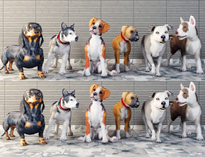 现代动物，宠物狗3d模型下载