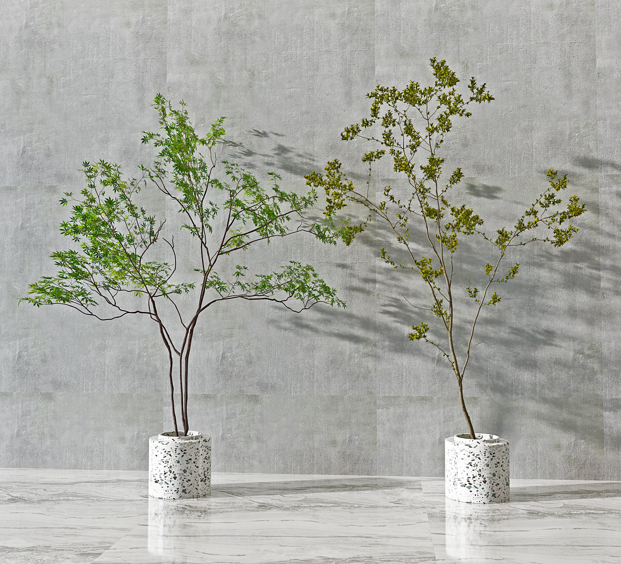 现代植物，盆栽3d模型下载